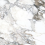 K949808FLPR1VTS0 - фото 1