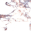 LP6012B0160R - фото 4