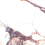 LP6012B0160R - фото 5