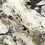 NTT9368DS - фото 2