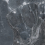 NTT9369DS - фото 4