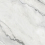 NTT9375DS - фото 3