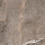 VL006012N - фото 2