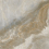 NTT9372DS - фото 7