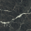 PP-01-335-1198-0598-1-004 - фото 3