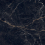 PP-01-343-1198-0598-1-004 - фото 1