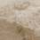 H0X9 - фото 1