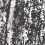 7302-0004 - фото 1