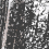 7302-0004 - фото 4